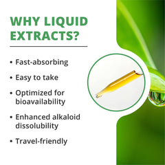 NutraMedix Burbur: empaque de calidad para bienestar natural