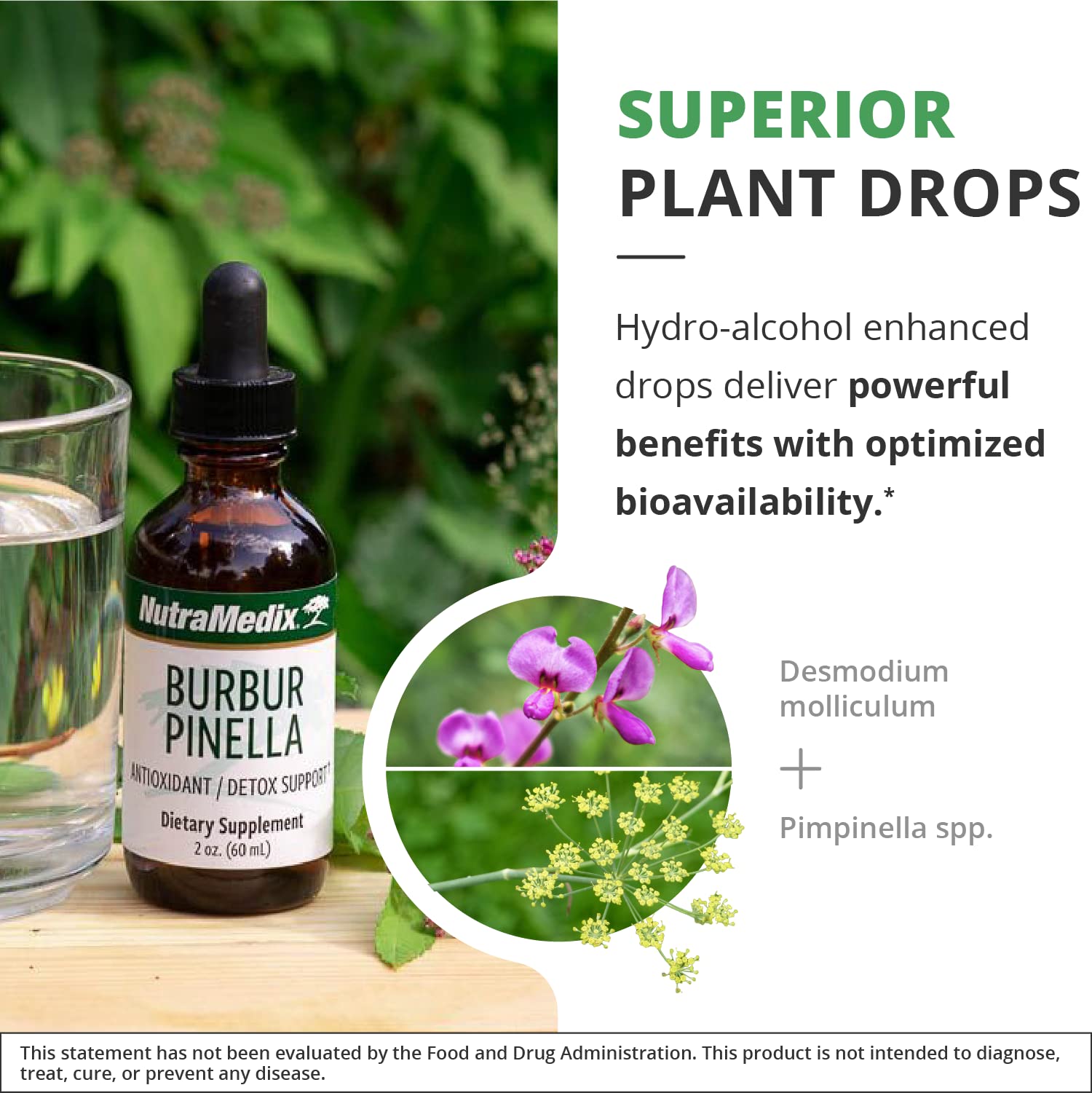 NutraMedix primeros planos de Burbur y Pimpinella resaltando pureza botánica