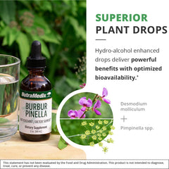 NutraMedix primeros planos de Burbur y Pimpinella resaltando pureza botánica
