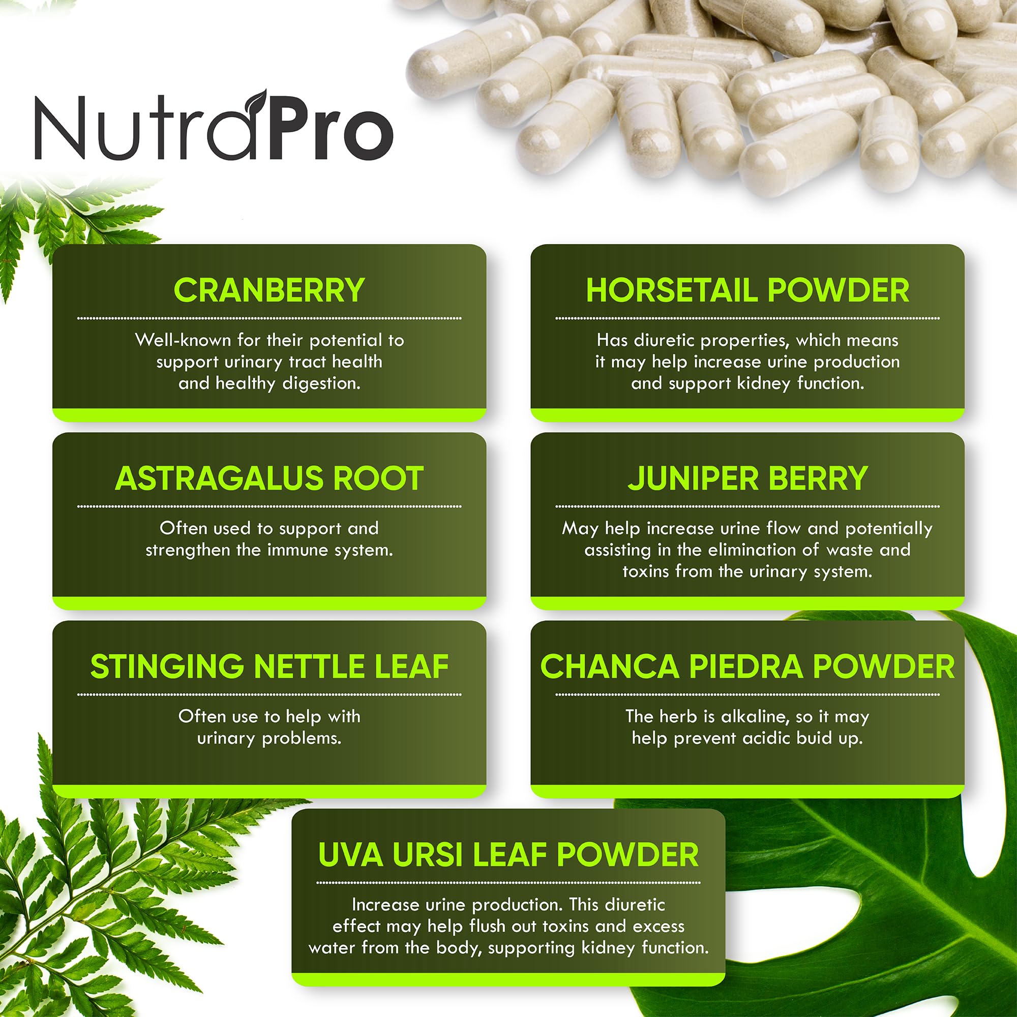 NutraPro ingredientes botánicos como arándano y chanca piedra activos