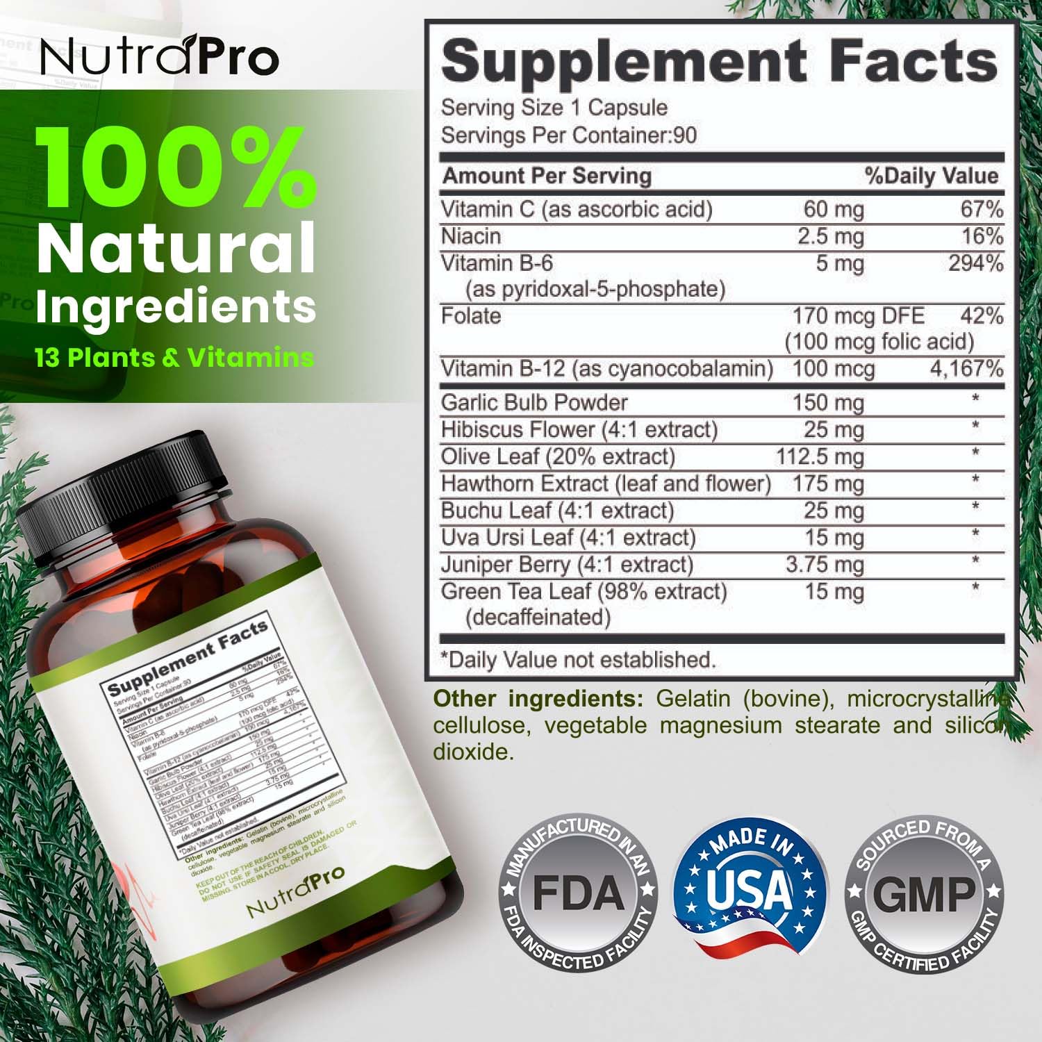 Persona sujetando NutraPro para mostrar tamaño y uso práctico