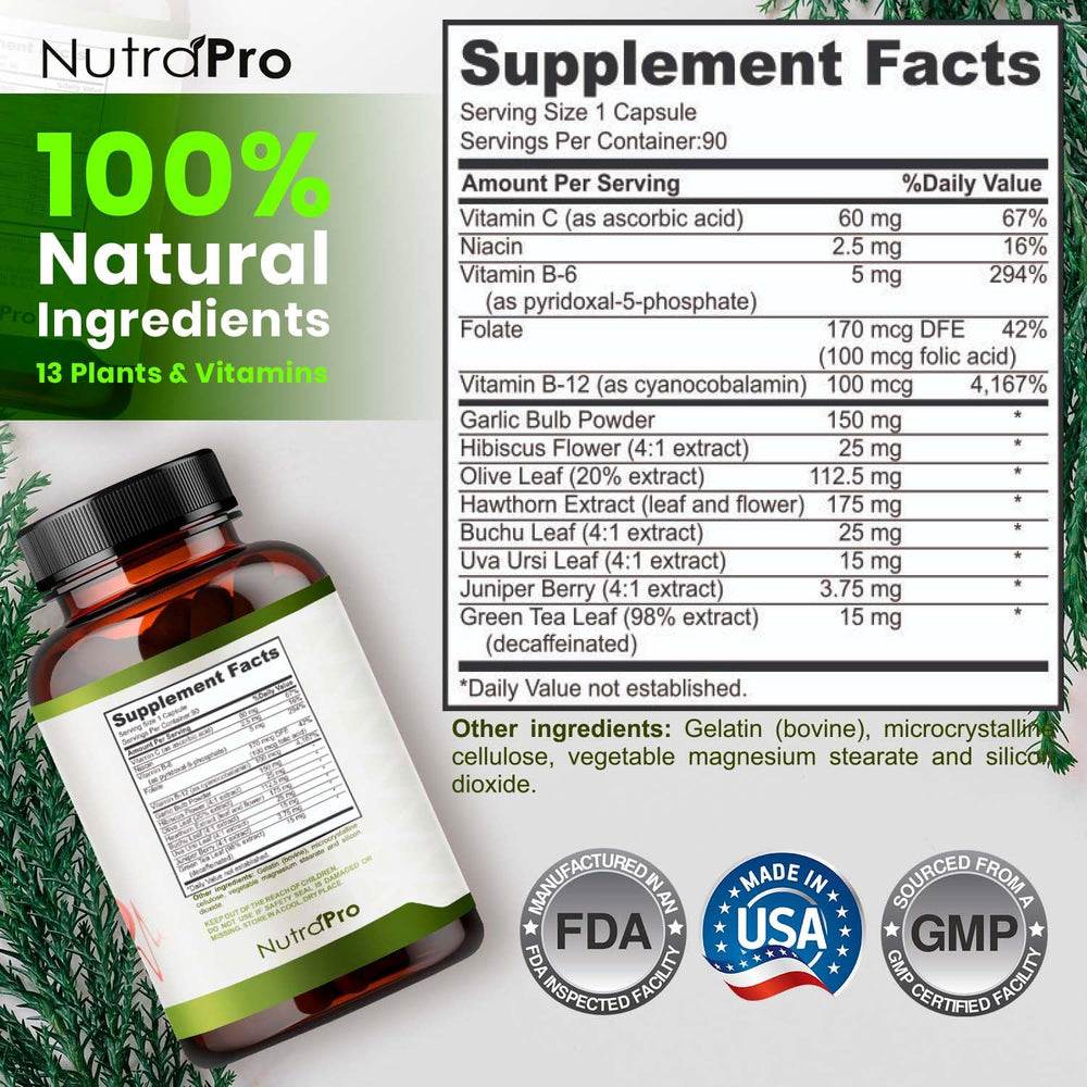 Persona sujetando NutraPro para mostrar tamaño y uso práctico