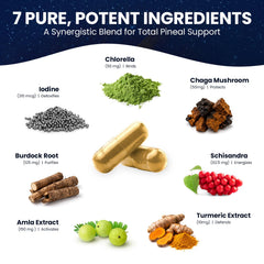 Nutraville ingredientes naturales agrupados que aportan detox