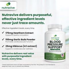 Nutravive polvo de extracto para mostrar textura y pureza