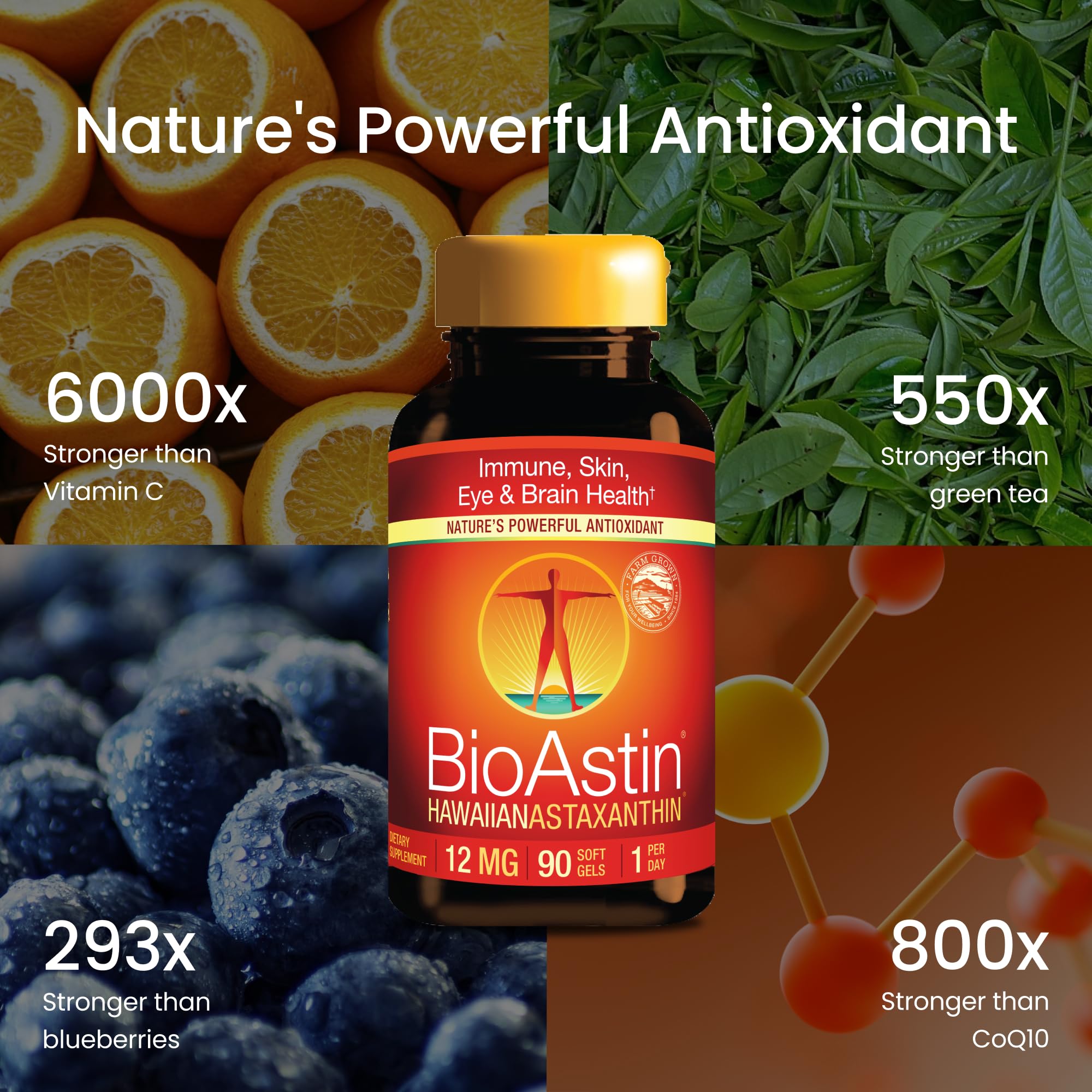 Nutrex Hawaii estanques en Kona donde se cultiva la microalga naturalmente