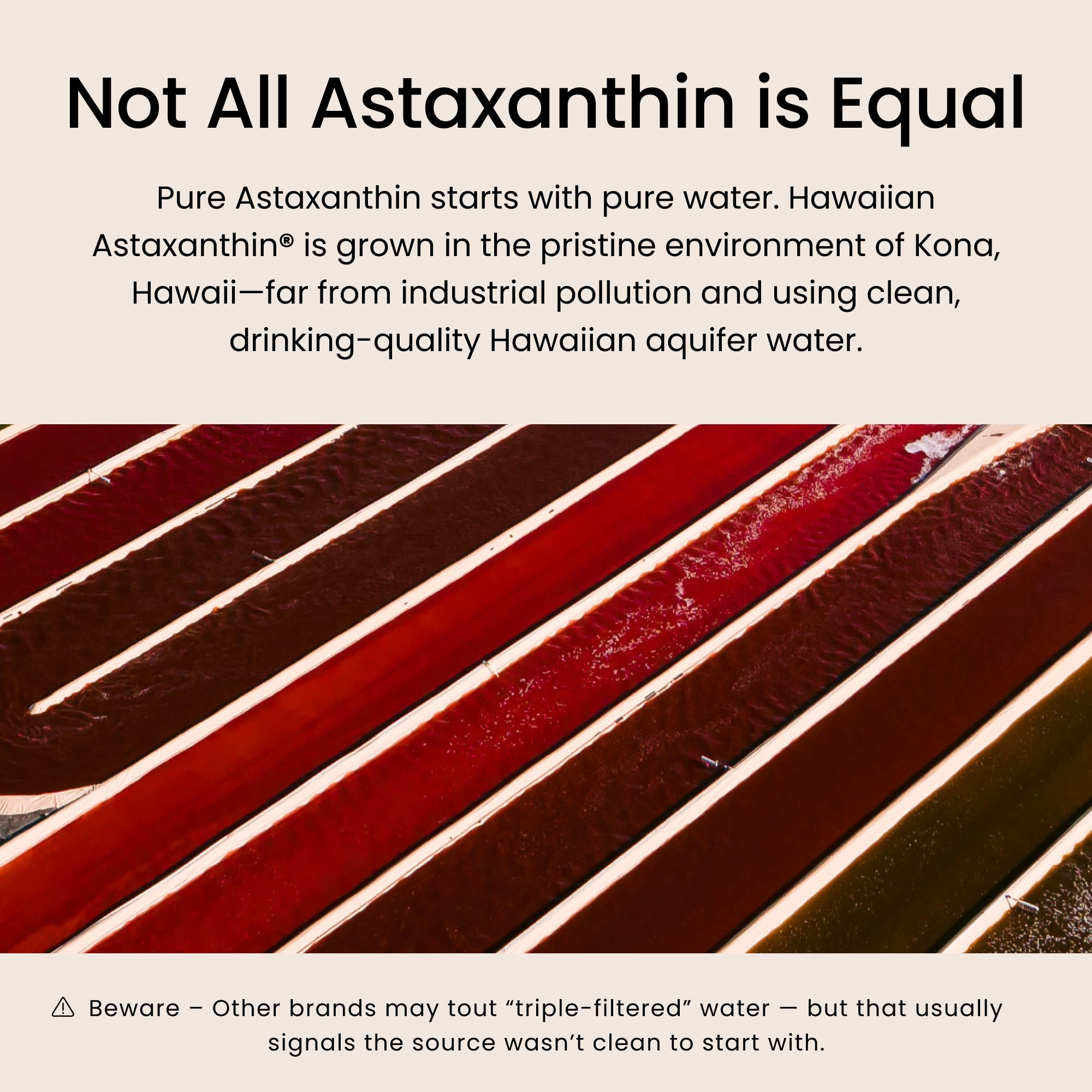 Nutrex Hawaii comparativa de tamaño del frasco y las gomitas para referencia