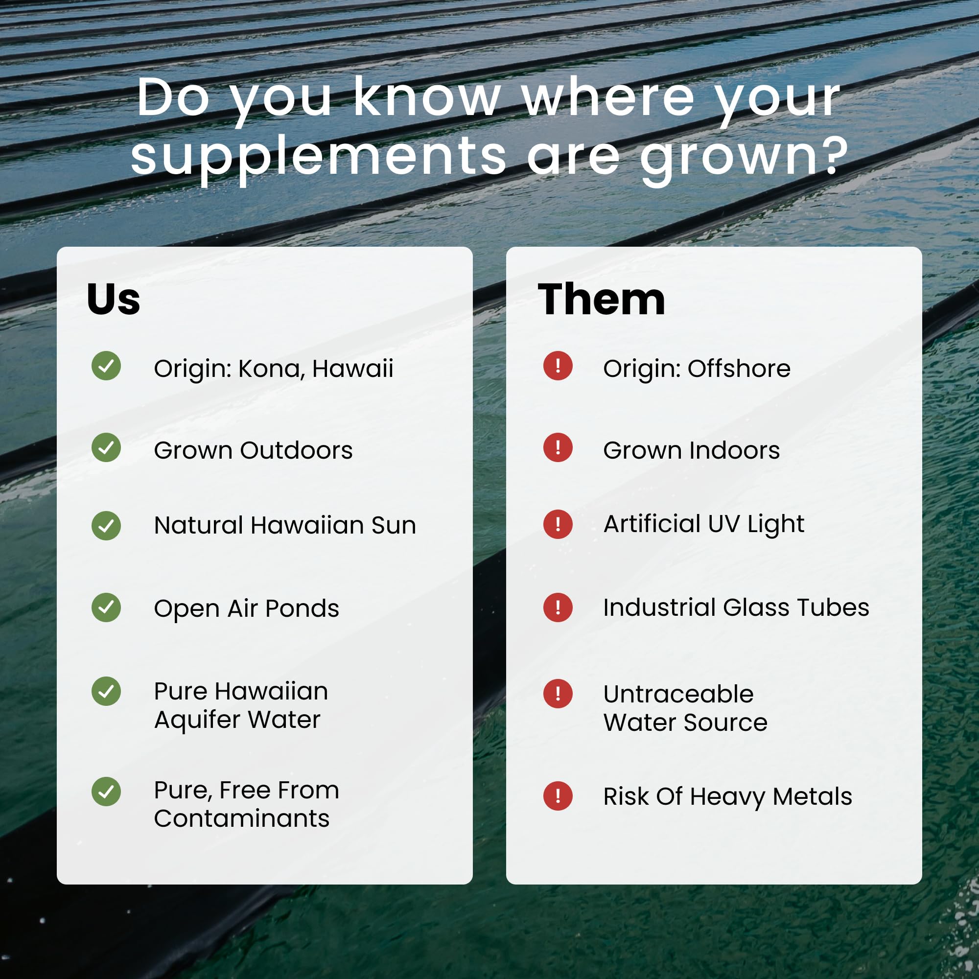 Nutrex Hawaii estanque de cultivo en Kona mostrando origen y exposición solar