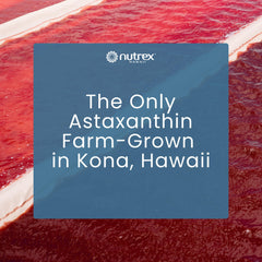 Nutrex Hawaii producto en entorno playero de Hawái que refleja trazabilidad
