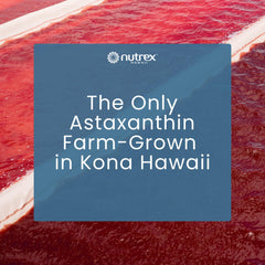 Nutrex Hawaii estilo de vida en playa Kona ilustrando origen