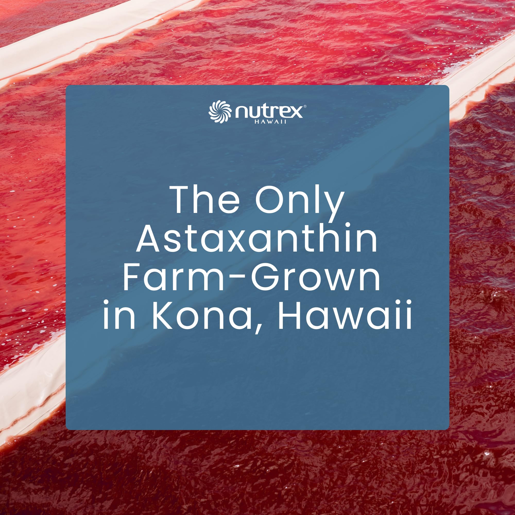 Nutrex Hawaii microalga Haematococcus pluvialis mostrando origen natural