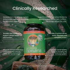 Nutrex Hawaii textura de polvo de spirulina para apreciar color y pureza