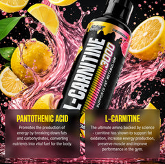 Nutrex Research icono de control de calidad que sugiere pruebas de laboratorio