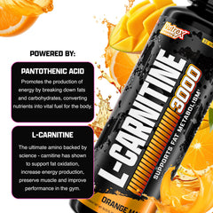 Nutrex Research L Carnitine atleta consumiendo antes del ejercicio para energía