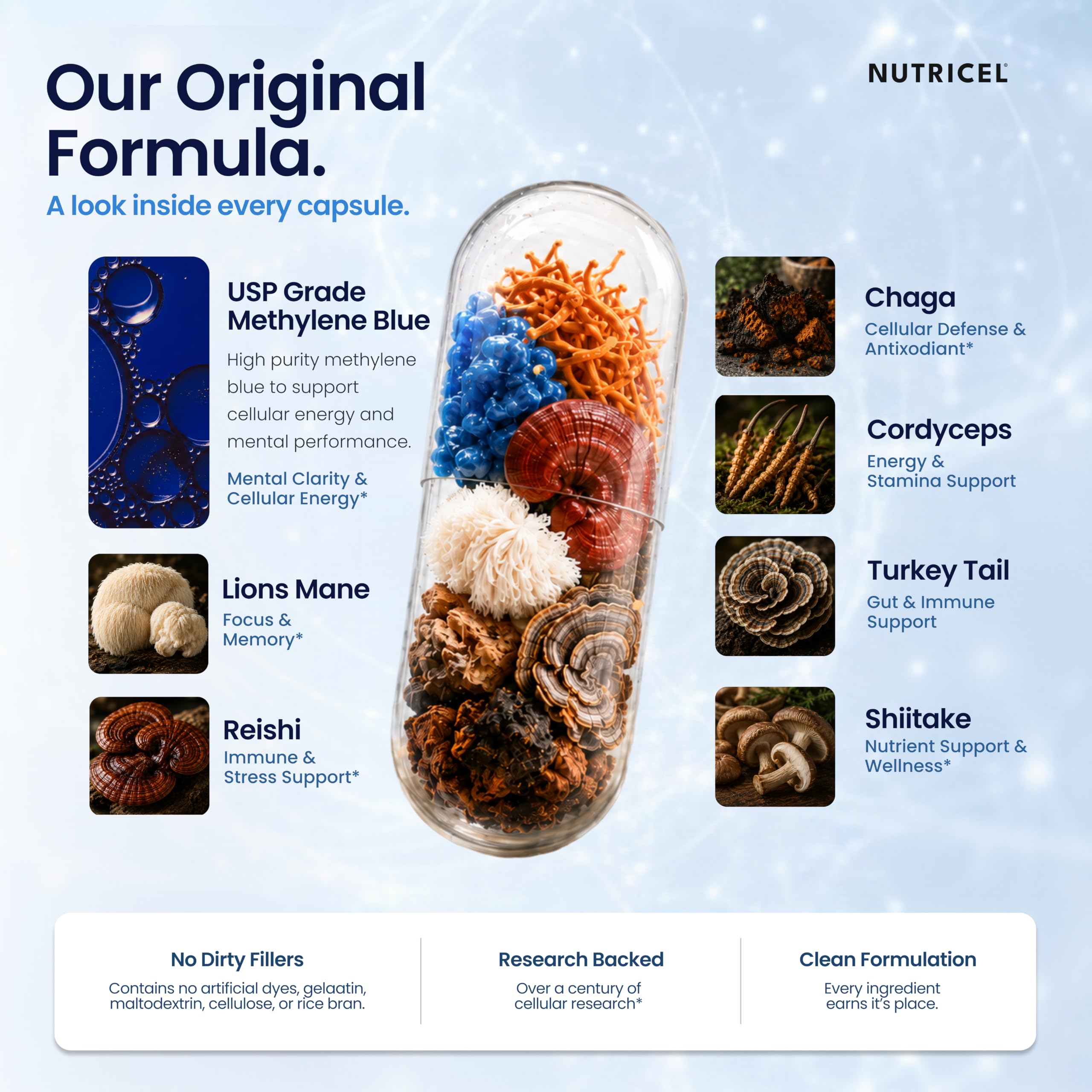 Nutricel agrupación de hongos Lion's Mane Reishi Cordyceps Chaga Shiitake