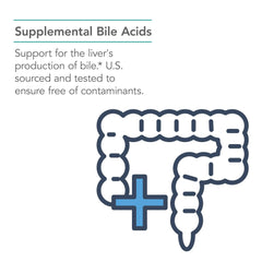 Nutricology Ox Bile 500 mg, cápsulas fáciles de tomar para la digestión diaria.