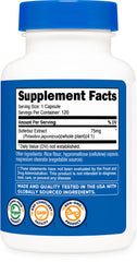 Nutricost etiqueta con ingredientes y certificaciones visibles