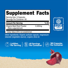 Nutricost detalle de la etiqueta nutricional y ingredientes, transparencia en composición