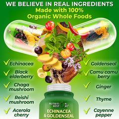 Nutrition Restore textura del contenido en polvo mostrando calidad vegetal orgánica