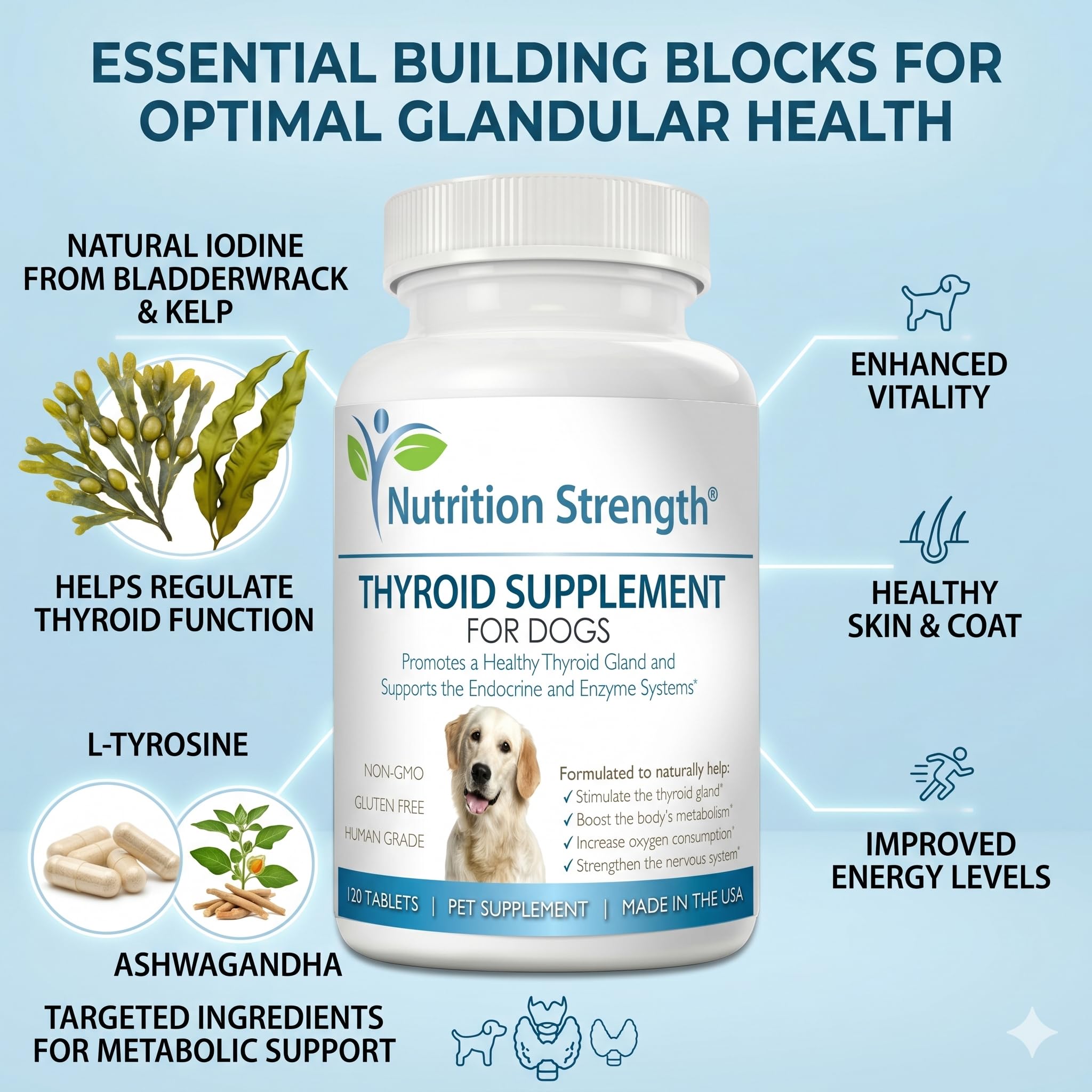 Nutrition Strength etiqueta con lista de ingredientes clave y beneficios visibles