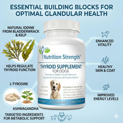 Nutrition Strength etiqueta con lista de ingredientes clave y beneficios visibles