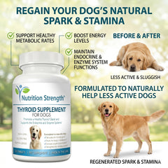 Nutrition Strength perro aceptando una tableta, administración sencilla y sin estrés