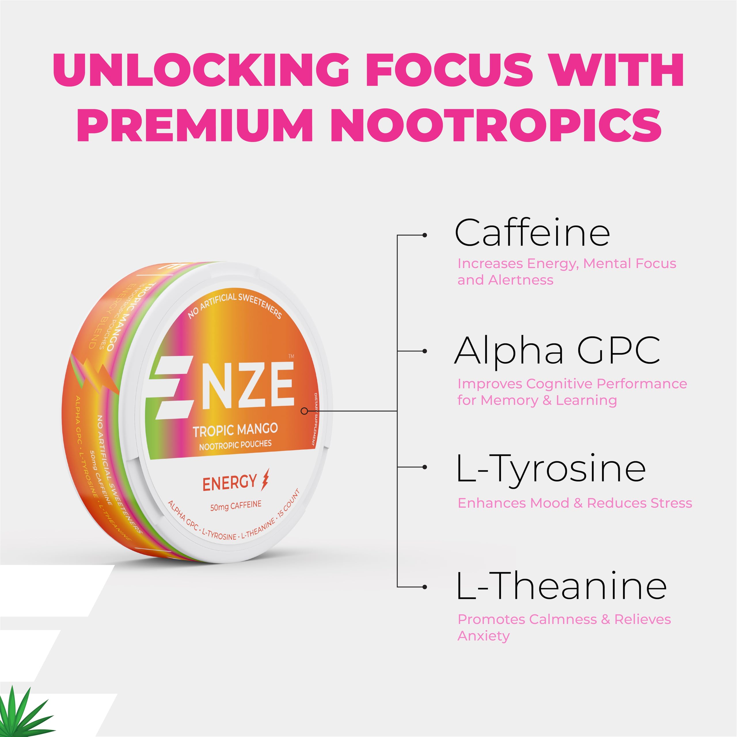 NZE lata abierta con pouches visibles para almacenamiento seguro