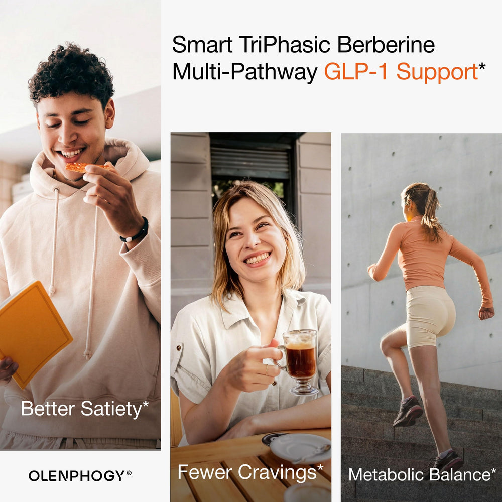 Olenphogy ingredientes clave benfotiamina y jengibre para confort digestivo