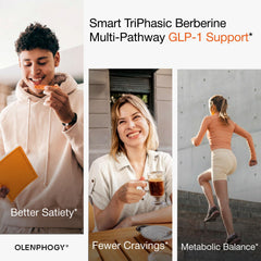 Olenphogy ingredientes clave benfotiamina y jengibre para confort digestivo