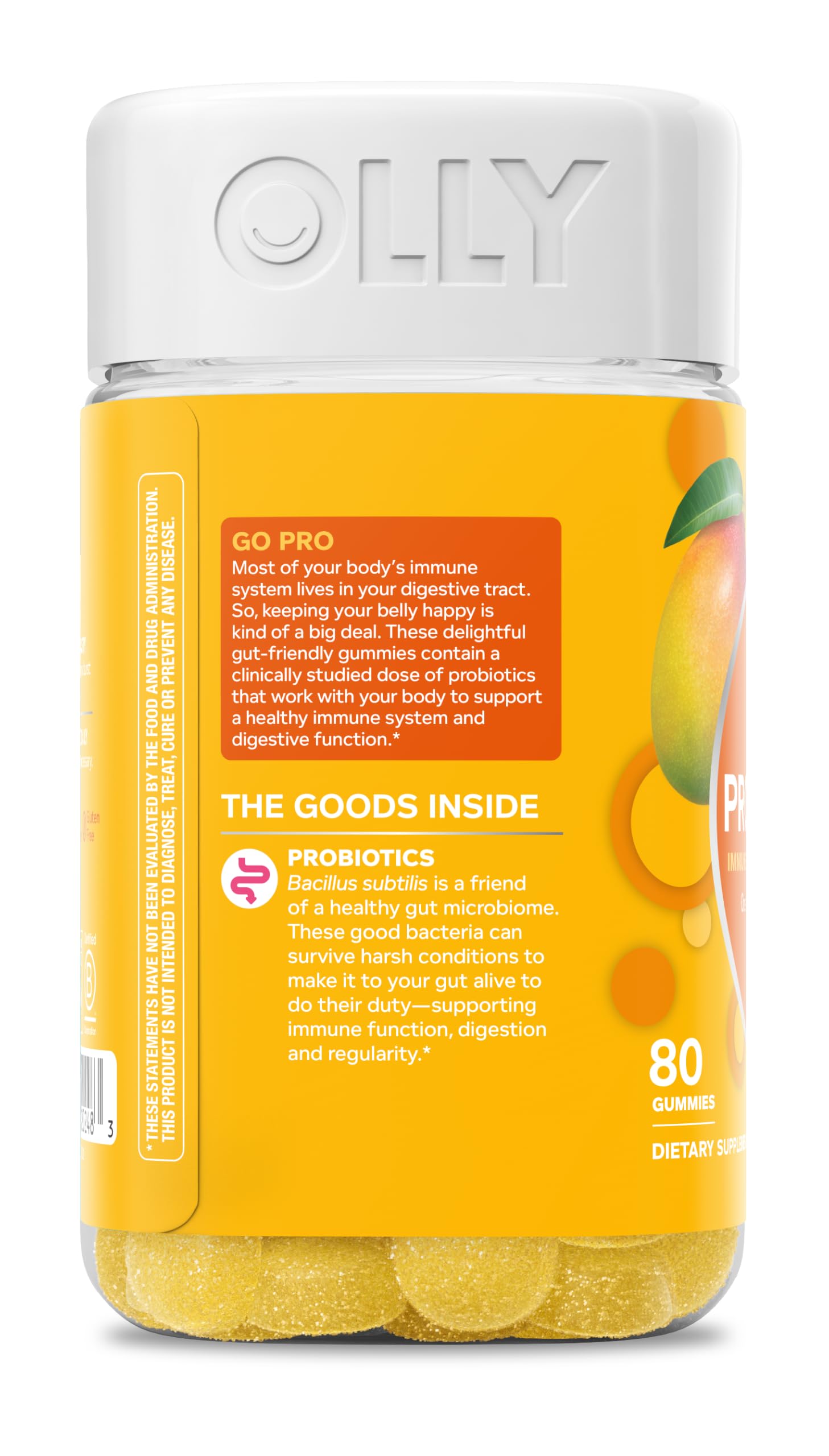 OLLY producto en cocina lifestyle mostrando almacenamiento y uso cotidiano
