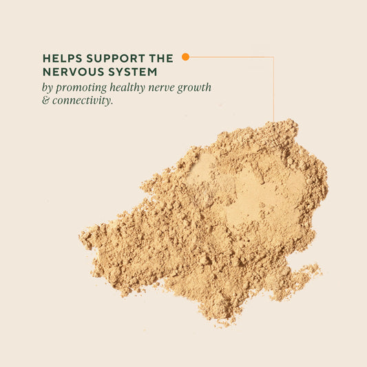 OM MUSHROOM SUPERFOOD textura del polvo fino lista para mezclar
