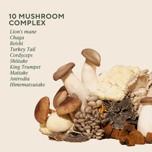 OM MUSHROOM SUPERFOOD textura del contenido en polvo que ilustra pureza y calidad orgánica