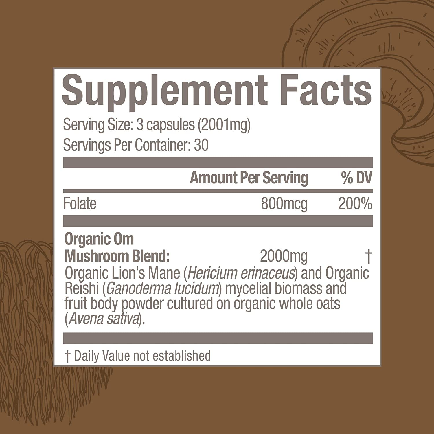 OM MUSHROOM SUPERFOOD frasco junto a una regla para comparar tamaño real