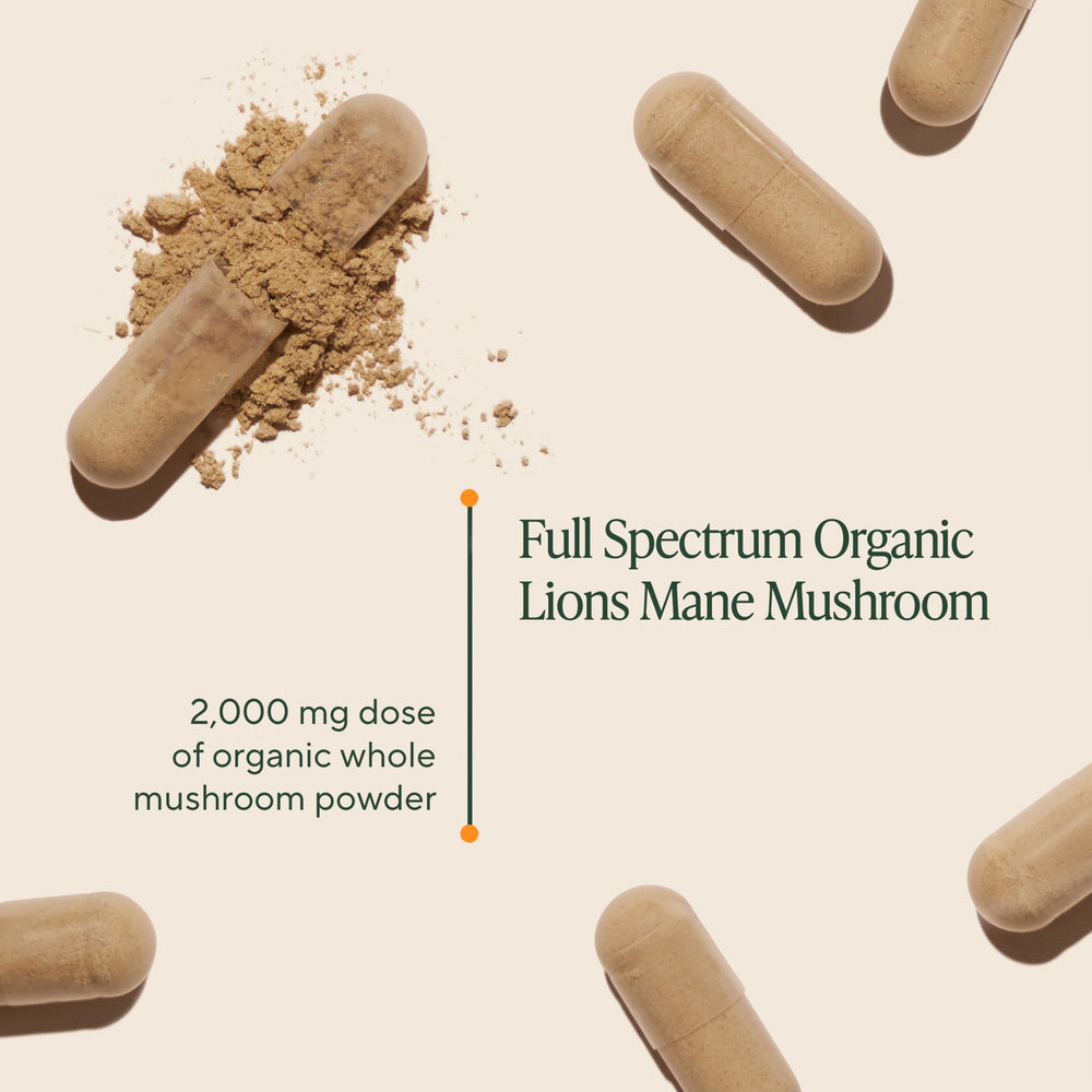 OM MUSHROOM SUPERFOOD cápsulas cerca, detalle de textura y pureza orgánica