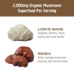 OM MUSHROOM SUPERFOOD trabajadores en cultivo en California subrayando producción local