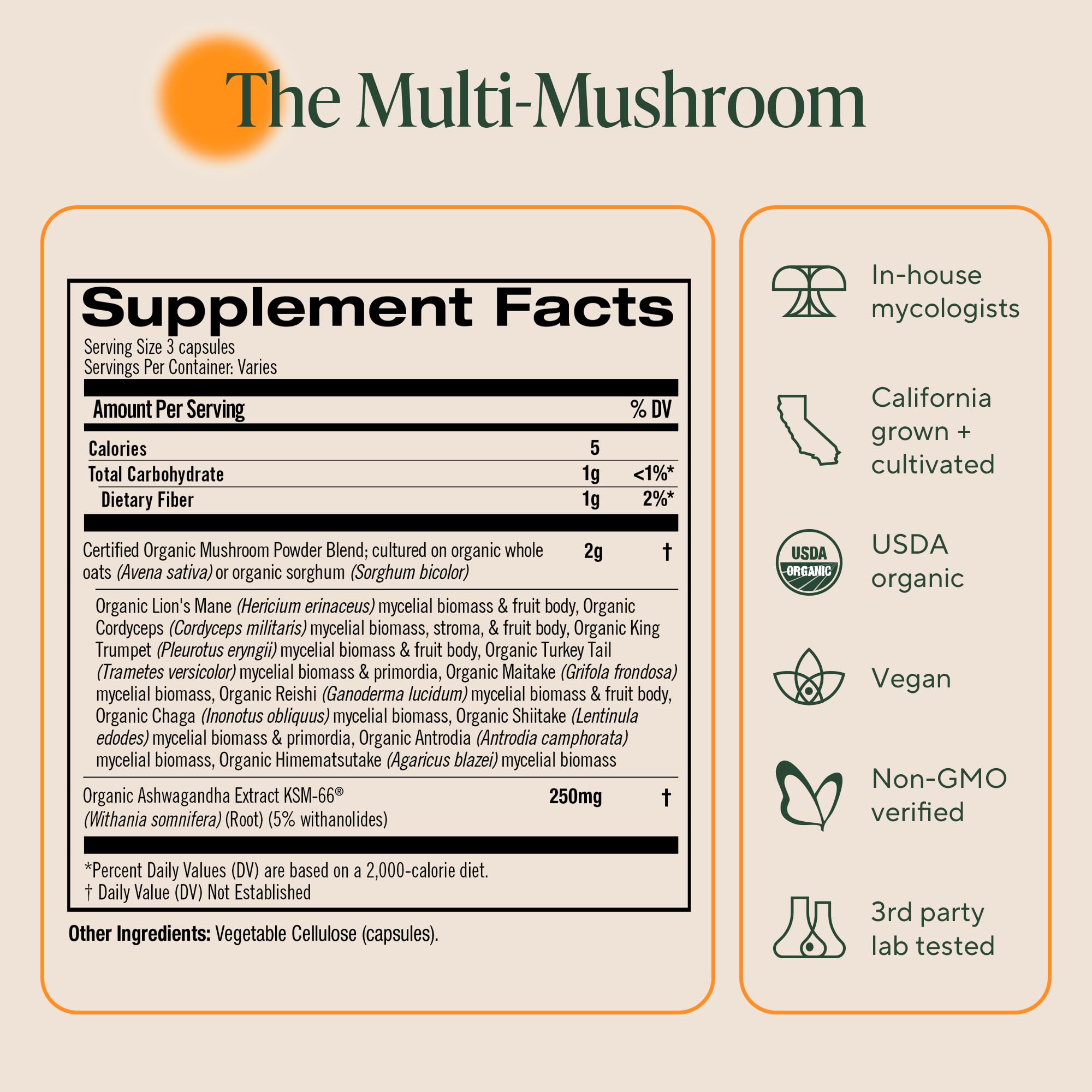 OM MUSHROOM SUPERFOOD ashwagandha y hongos juntos destacando mezcla funcional