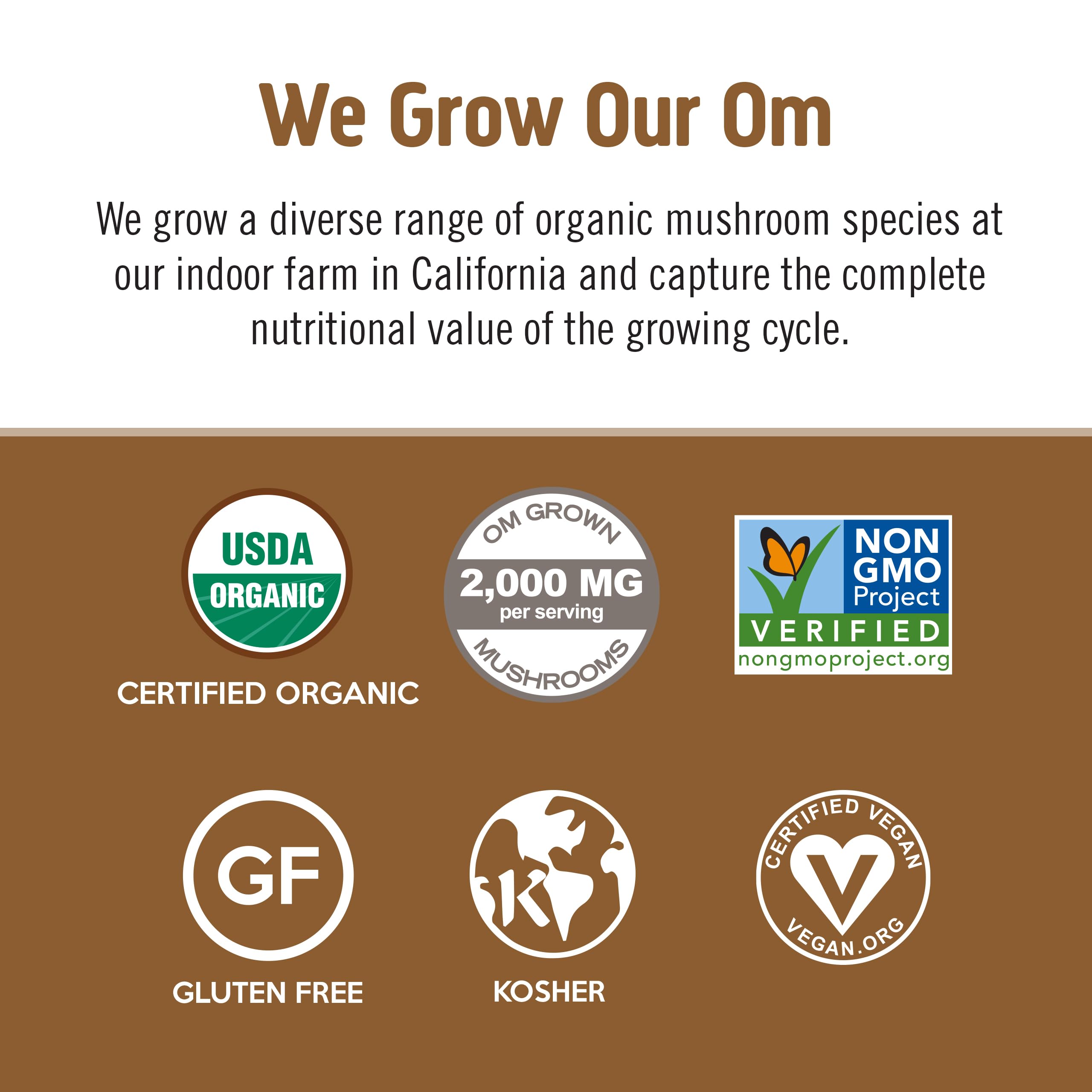 OM MUSHROOM SUPERFOOD cucharada con porción exacta práctica