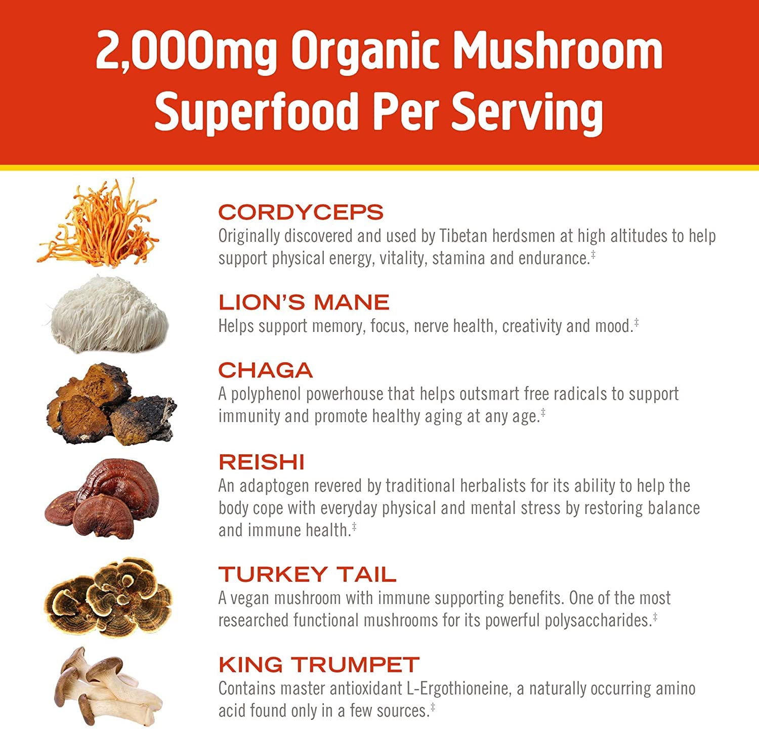 OM MUSHROOM SUPERFOOD lata comparada con una taza para escala