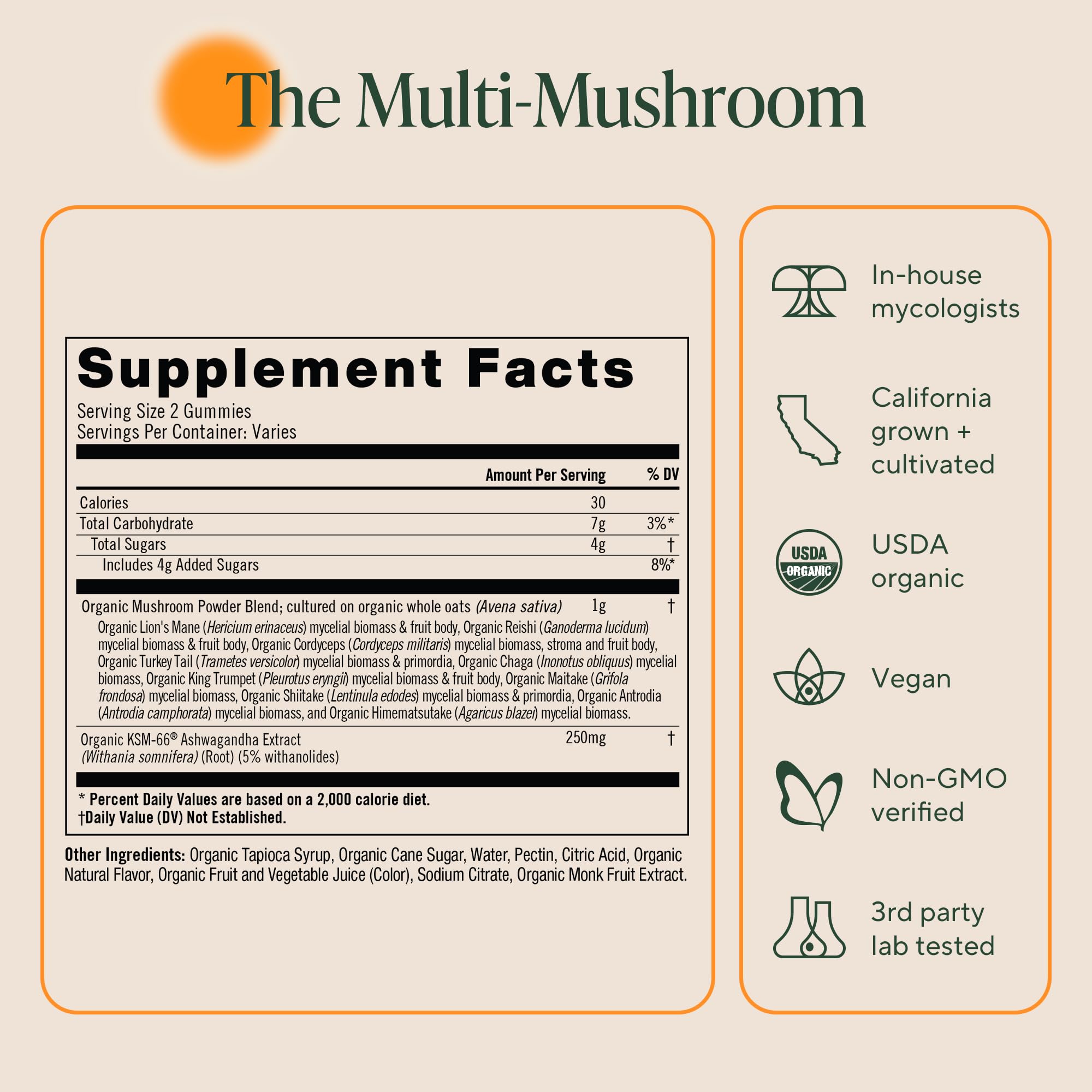 OM MUSHROOM SUPERFOOD gomita en uso demostrando facilidad de masticar