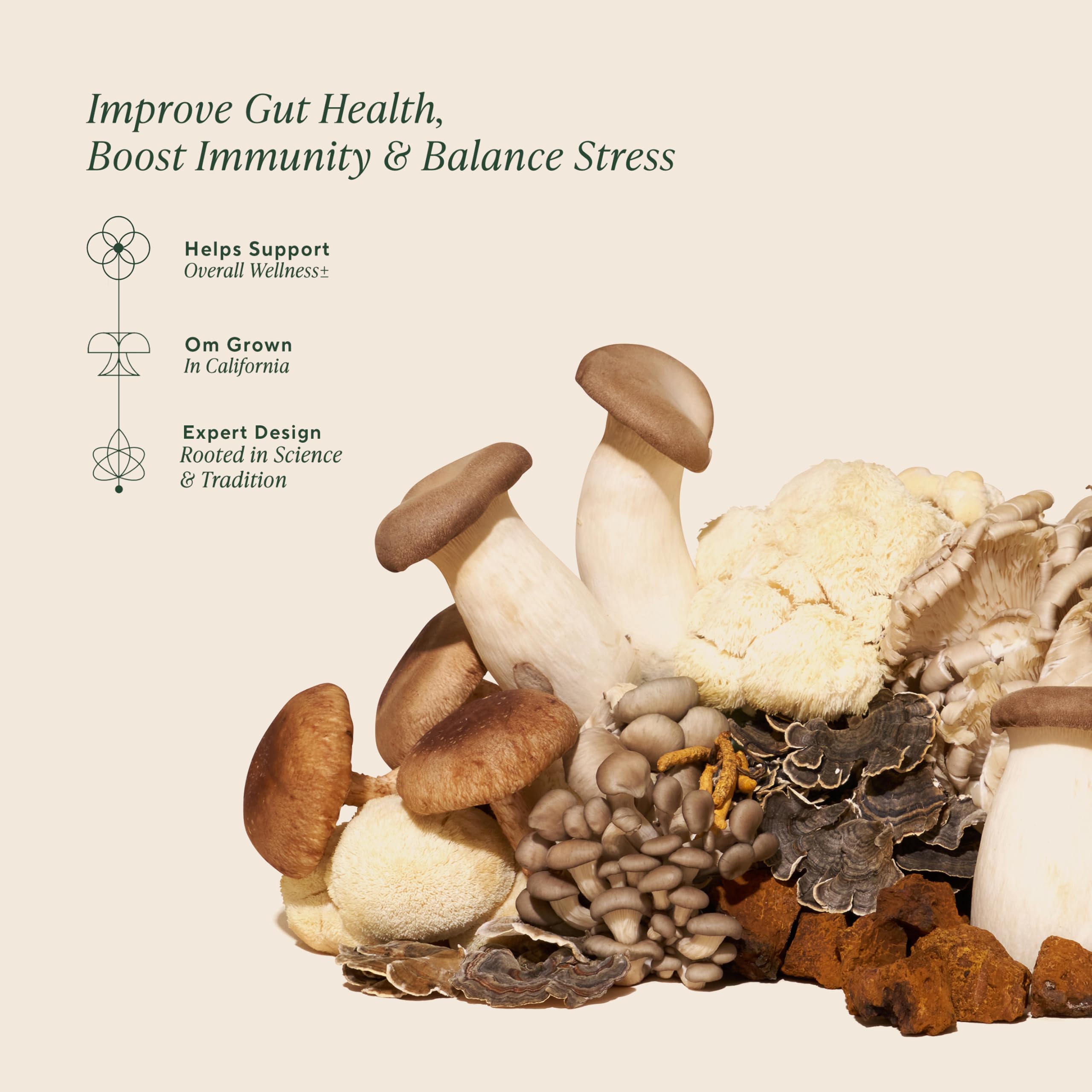 OM MUSHROOM SUPERFOOD etiqueta con lista de 10 hongos y ashwagandha