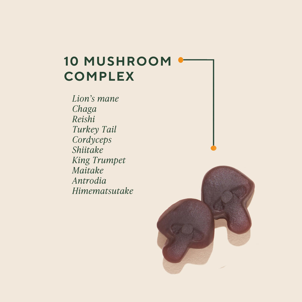 OM MUSHROOM SUPERFOOD textura cercana destacando ingrediente natural