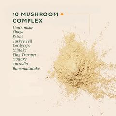 OM MUSHROOM SUPERFOOD polvo textura cremosa a vista para mezclas rápidas