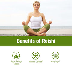 OM MUSHROOM SUPERFOOD mezclado en mushroom coffee para energía equilibrada