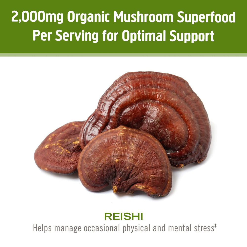 OM MUSHROOM SUPERFOOD cuchara con porción que muestra tamaño y dosificación