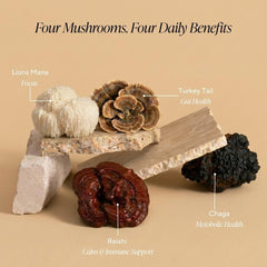 OM MUSHROOM SUPERFOOD bebida servida en taza para confort y enfoque