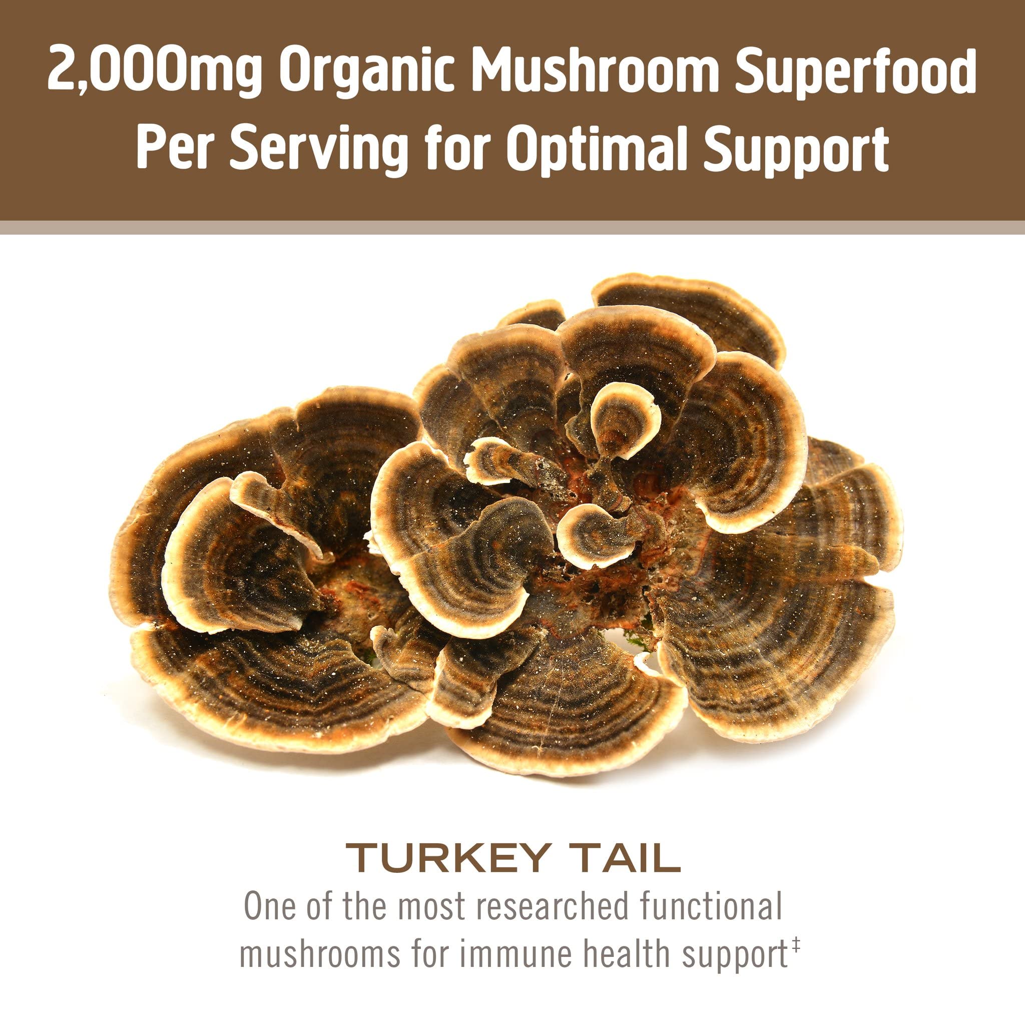 OM MUSHROOM SUPERFOOD cuchara con porción de Turkey Tail señalando control de dosis