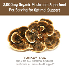 OM MUSHROOM SUPERFOOD cuchara con porción de Turkey Tail señalando control de dosis