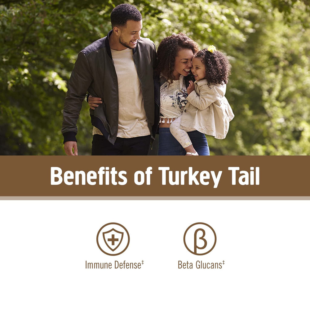 OM MUSHROOM SUPERFOOD polvo de Turkey Tail disuelto en taza para uso diario fácil