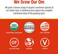 OM MUSHROOM SUPERFOOD polvo en batidora mezclando un batido nutritivo