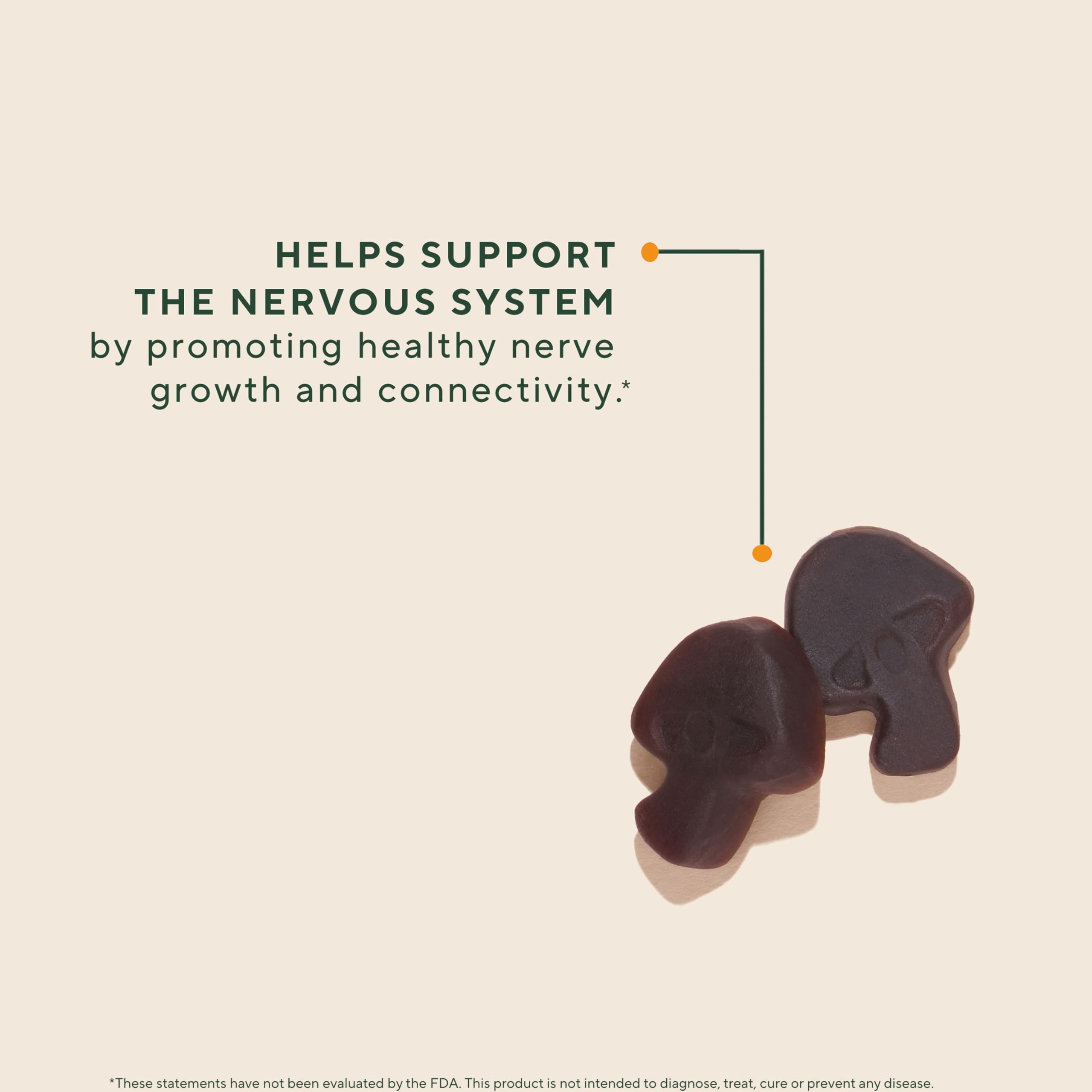 OM MUSHROOM SUPERFOOD primer plano de textura de gominola, fácil de masticar