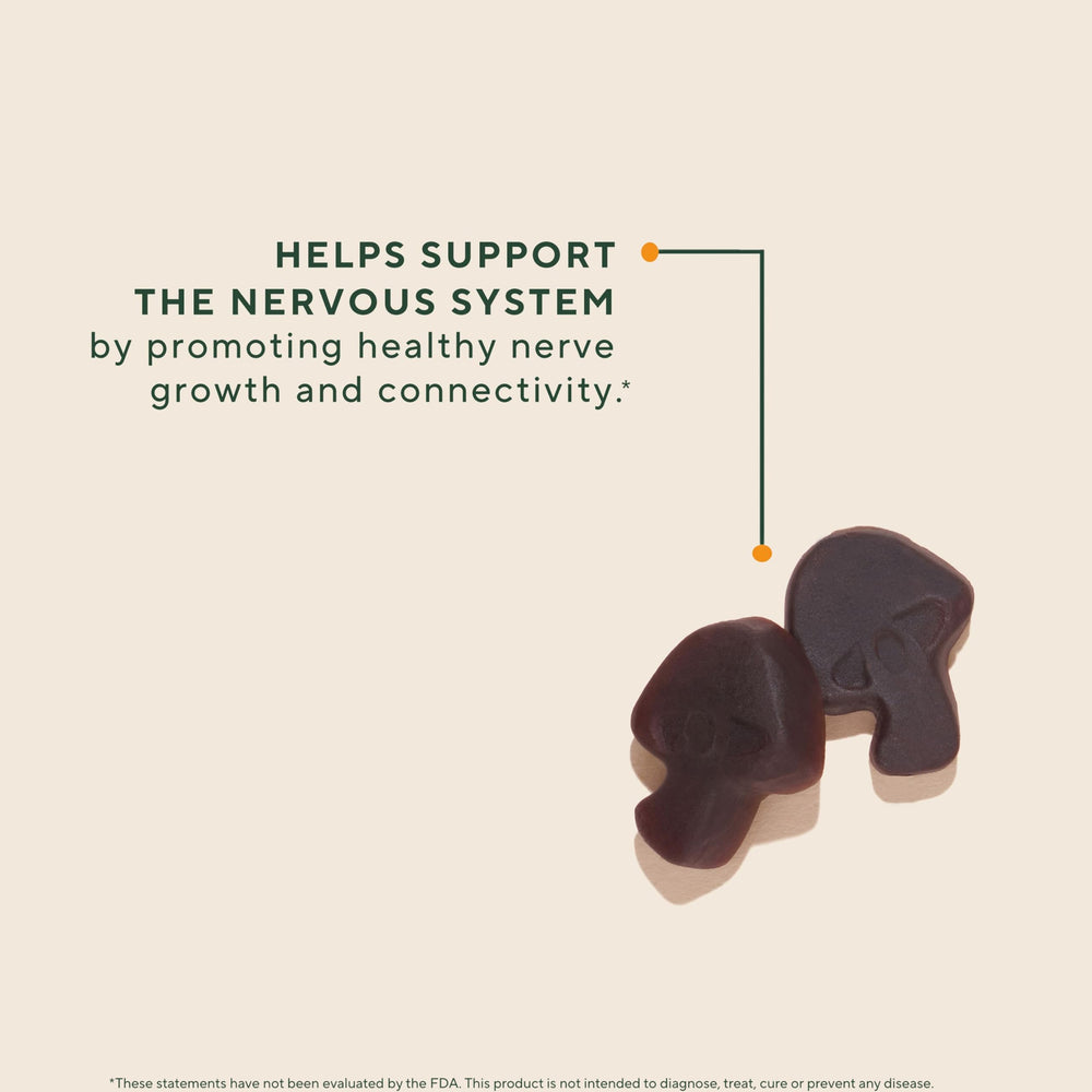 OM MUSHROOM SUPERFOOD primer plano de textura de gominola, fácil de masticar